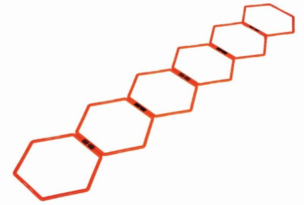 LADDER OCTA (LDR-OA12, LDR-OA24)