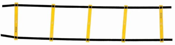 LADDER FLAT FIXED (LDR- FF 9M, LDR- FF 8M, LDR- FF 6M, LDR- FF 4M, LDR- FF 2M)