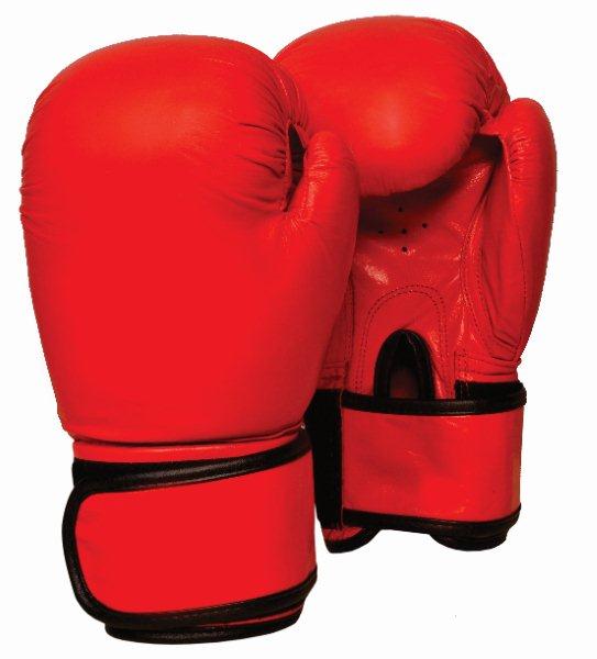 BOXING GLOVES CORE (BX-GLC)