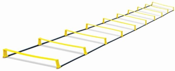 2 NI 1 LADDER HURDLE (LDR-HDRL4 ,LDR-HDRL8)