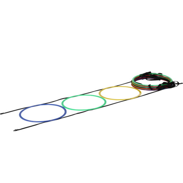 COLORED RING LADDER