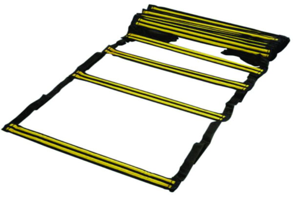 LADDER FIBRE